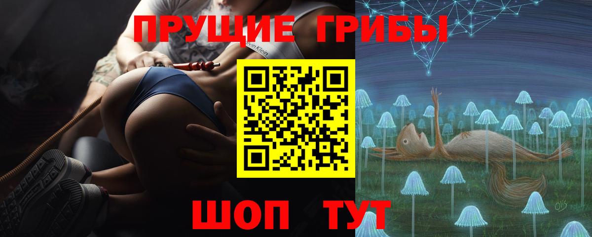 Галлюциногенные грибы GOLDEN TEACHER  Галлюциногенные грибы MAGIC MUSHROOMS  Вход с VPN  Мурино 
